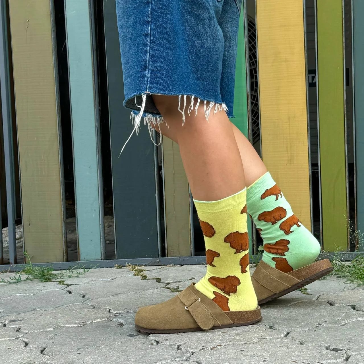 /product/sosete-casual-colorate